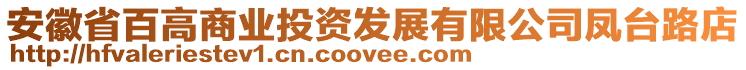 安徽省百高商业投资发展有限公司凤台路店