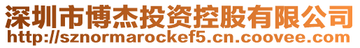 深圳市博杰投資控股有限公司