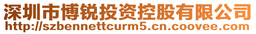 深圳市博銳投資控股有限公司