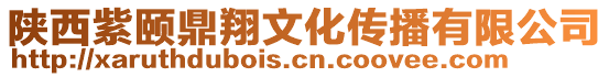 陕西紫颐鼎翔文化传播有限公司