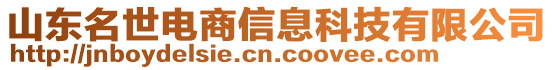 山東名世電商信息科技有限公司