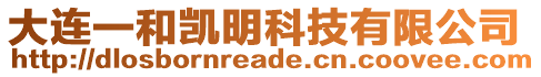 大連一和凱明科技有限公司