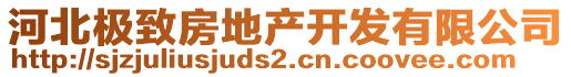 河北極致房地產(chǎn)開發(fā)有限公司