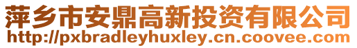 萍鄉(xiāng)市安鼎高新投資有限公司