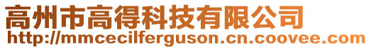 高州市高得科技有限公司