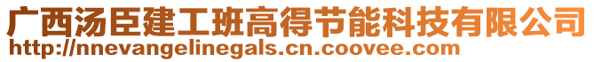 廣西湯臣建工班高得節(jié)能科技有限公司