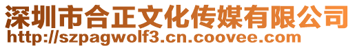 深圳市合正文化傳媒有限公司