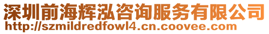 深圳前海輝泓咨詢服務(wù)有限公司