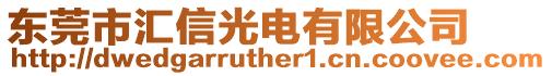 東莞市匯信光電有限公司