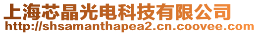 上海芯晶光電科技有限公司