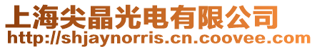上海尖晶光電有限公司