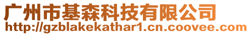 廣州市基森科技有限公司