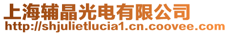 上海輔晶光電有限公司