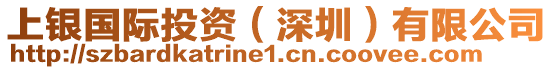 上銀國際投資(深圳)有限公司