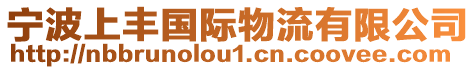 寧波上豐國際物流有限公司