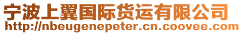 寧波上翼國際貨運有限公司