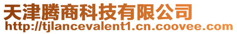 天津騰商科技有限公司