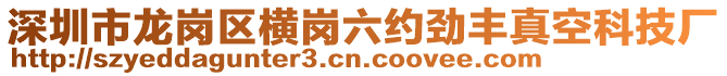 深圳市龍崗區(qū)橫崗六約勁豐真空科技廠