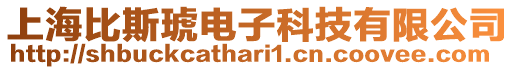 上海比斯琥電子科技有限公司