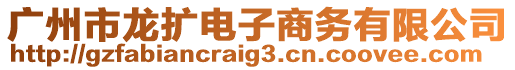 廣州市龍擴電子商務有限公司