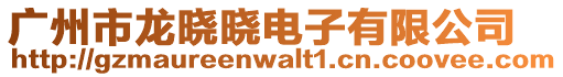 廣州市龍曉曉電子有限公司