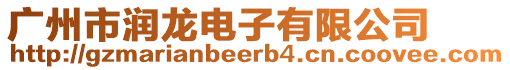 廣州市潤龍電子有限公司