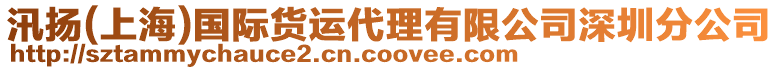 汛揚(yáng)(上海)國(guó)際貨運(yùn)代理有限公司深圳分公司
