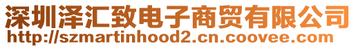深圳澤匯致電子商貿有限公司