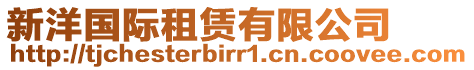 新洋國際租賃有限公司