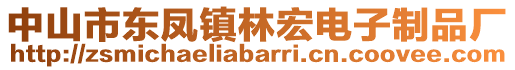 中山市東鳳鎮林宏電子制品廠