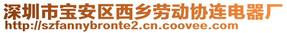深圳市寶安區(qū)西鄉(xiāng)勞動協(xié)連電器廠