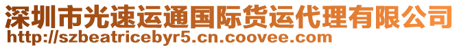 深圳市光速運(yùn)通國際貨運(yùn)代理有限公司