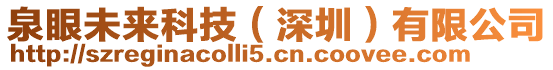 泉眼未來科技(深圳)有限公司