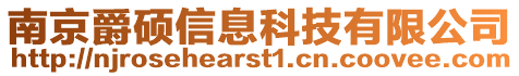 南京爵碩信息科技有限公司