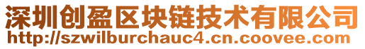 深圳創盈區塊鏈技術有限公司