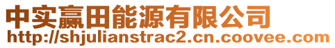 中實(shí)贏田能源有限公司