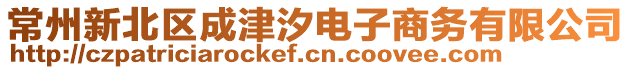 常州新北區(qū)成津汐電子商務(wù)有限公司