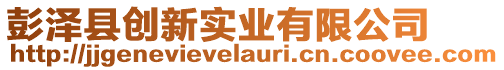 彭澤縣創新實業有限公司