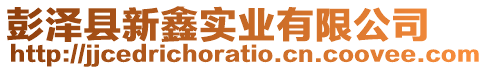 彭澤縣新鑫實業有限公司