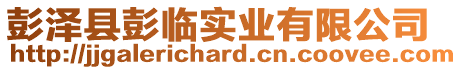 彭澤縣彭臨實(shí)業(yè)有限公司