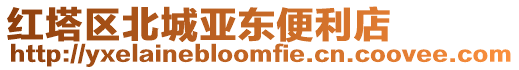 紅塔區北城亞東便利店