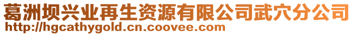 葛洲壩興業(yè)再生資源有限公司武穴分公司