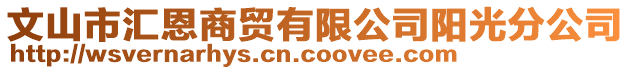 文山市匯恩商貿(mào)有限公司陽光分公司