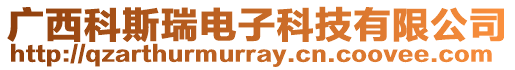 廣西科斯瑞電子科技有限公司