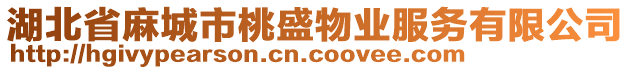 湖北省麻城市桃盛物業(yè)服務(wù)有限公司