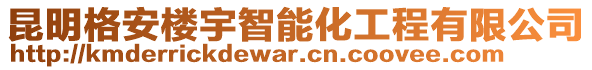 昆明格安樓宇智能化工程有限公司