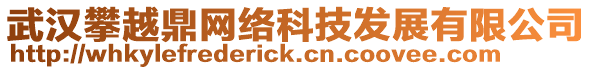 武漢攀越鼎網絡科技發展有限公司