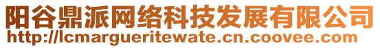 陽谷鼎派網(wǎng)絡(luò)科技發(fā)展有限公司