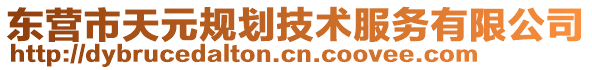 東營市天元規(guī)劃技術(shù)服務(wù)有限公司