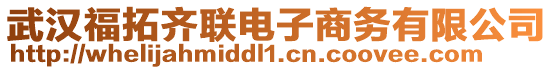 武漢福拓齊聯(lián)電子商務(wù)有限公司